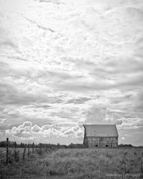 WEB_barn_BW-with-big-sky Big Sky Barn