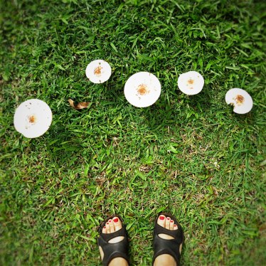 WEB_kapaka_mushroomfeet
