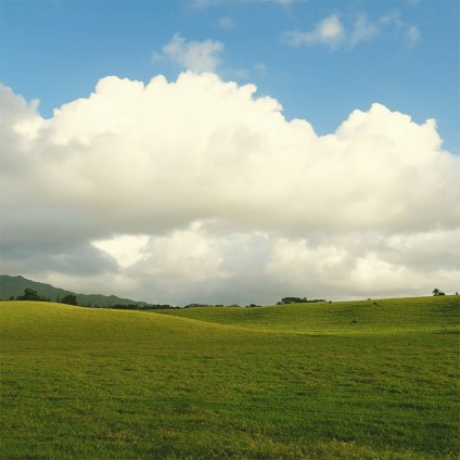 WEB_kapapa_field-view