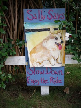 WEB_kapapa_sally-says