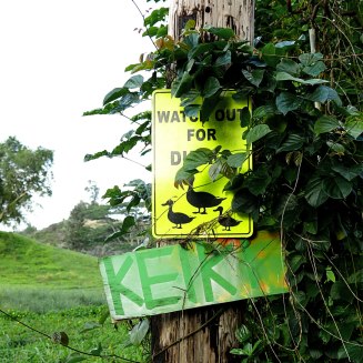 WEB_kapapa_watch-for-ducks