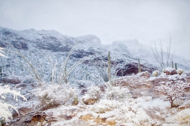 foothills watercolor_no moon_small