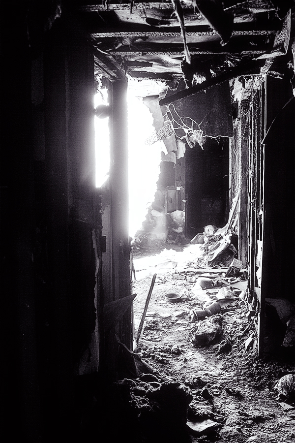 WEB_looking into the light