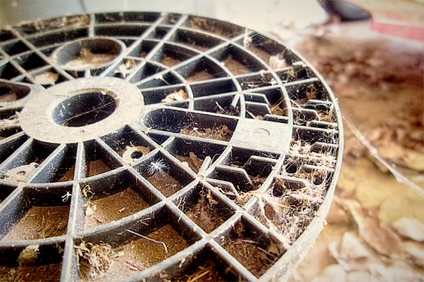 WEB_circle with sections